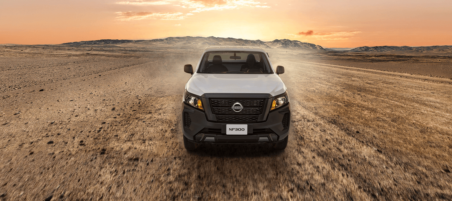 Nissan NP300 Banner